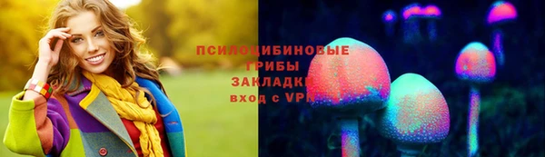 гидра Армянск